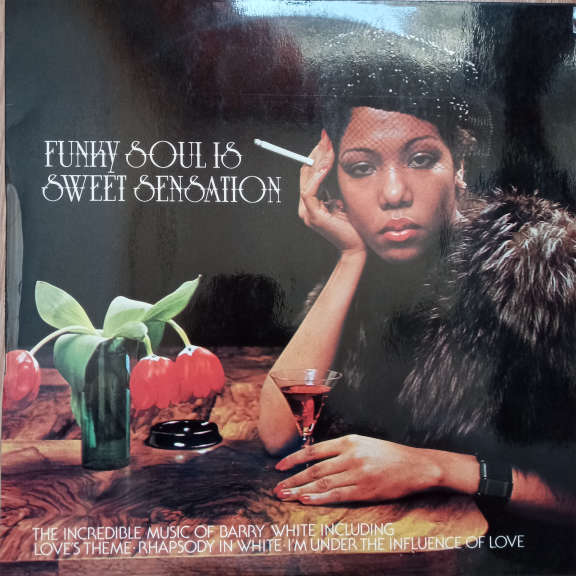 Funky Soul Band Funky Soul Is Sweet Sensation LP 0