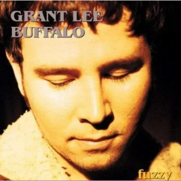 Grant Lee Buffalo Fuzzy LP 2022